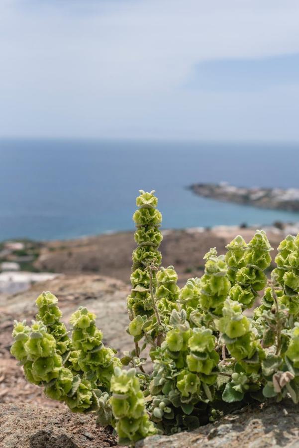 Villa Nites Liaropá Εξωτερικό φωτογραφία